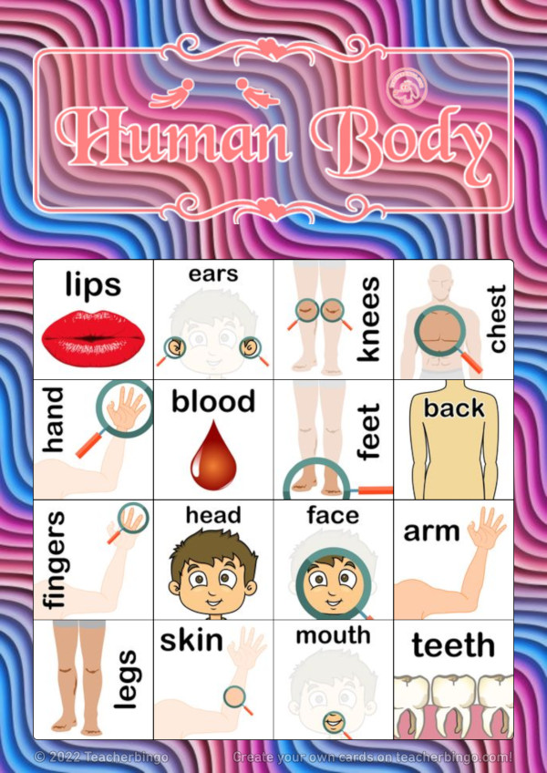 Bingo card with body parts